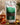 Shahi Kashmiri Kahwa 100 GM