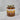 Premium Multiflora Honey with Kesar – Pure Himalayan Goodness