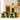 The Jungle Harvest Complete Himalayan Beauty Kit